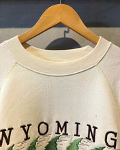 画像をギャラリービューアに読み込む, 90&#39;s Hanes WYOMING WIND FESTIVAL-Sweat-(size XL)Made in U.S.A.
