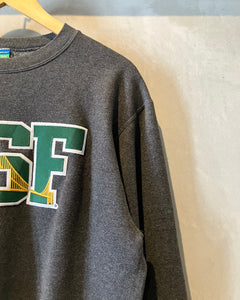 Champion USF-Sweat-(size M)